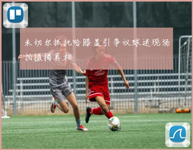 米切尔抓托哈膝盖引争议球迷现场拍摄揭真相